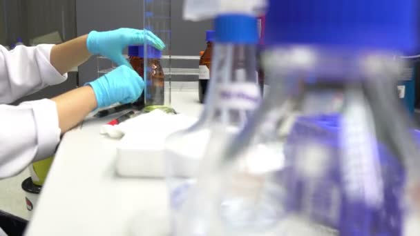 close up of female scientist working in laboratory - Filmati, video