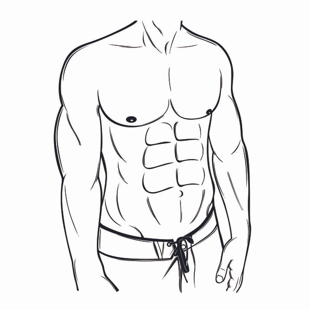 Мускулистый рисунок из шести пачек мужского тела
 - Вектор,изображение