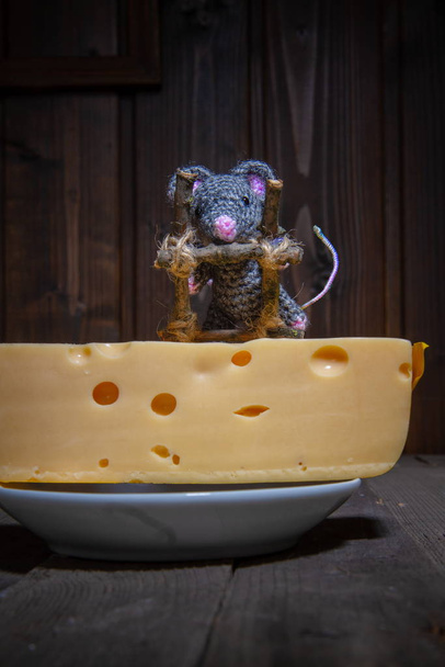Souris et fromage
 - Photo, image