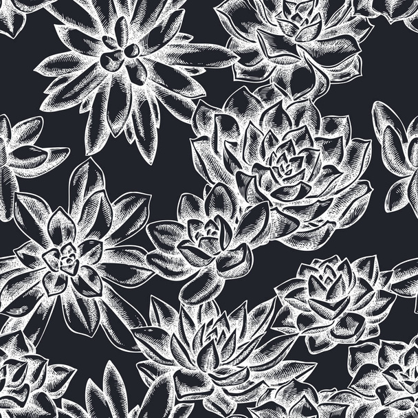 Seamless pattern with hand drawn chalk succulent echeveria - Vector, afbeelding
