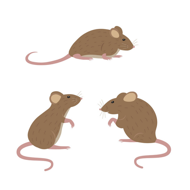 Cartoon mouse. Vector illustration on white background. - ベクター画像