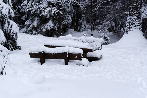 Snow covered wooden picnic table in a forest - Foto, Bild