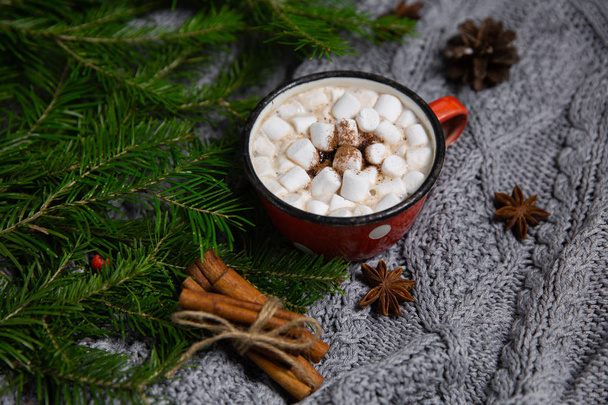 Cocoa drink in mug with marshmallow on winter background with anise and cinnamon - Photo, image