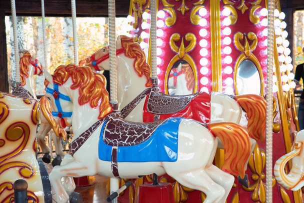 Heldere carrousel paarden in park close-up - Foto, afbeelding