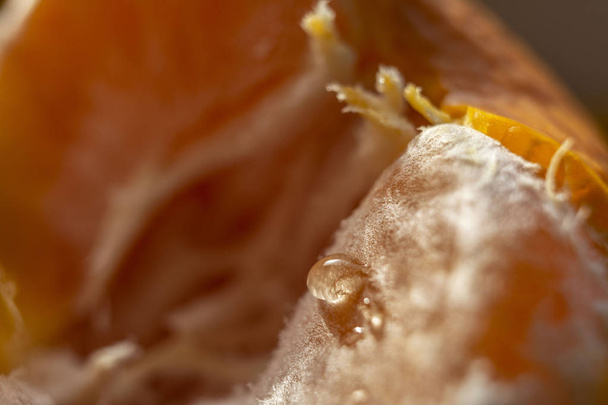 water drop on tangerine closeup - Photo, image
