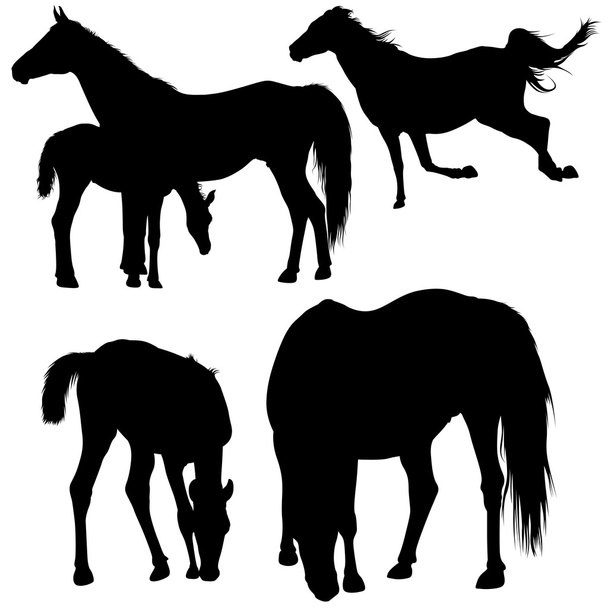 Horse Silhouette Collection - Vektor, Bild