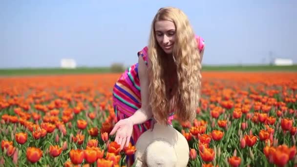 Hermosa mujer joven con el pelo largo y rojo con un vestido a rayas y sombrero de paja de pie en el campo de tulipanes de colores y corre de la mano sobre la parte superior de los tulipanes de colores
. - Imágenes, Vídeo