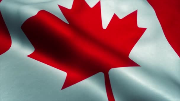 Waving flag of Canada. Realistic close up slow motion 3D animation - Footage, Video