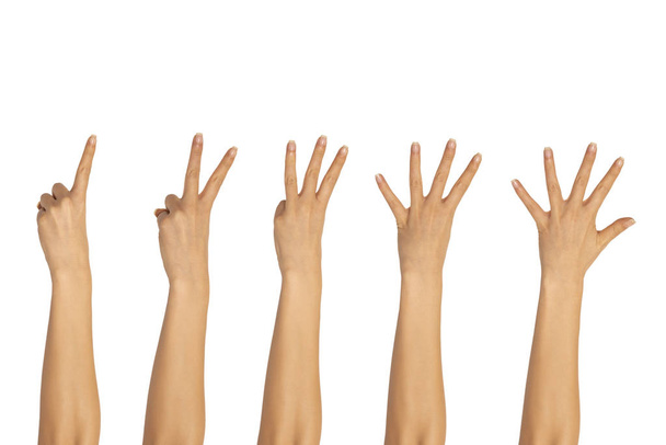 τα χέρια, δάχτυλα και αριθμούς. σε λευκό φόντο. απομονωμένη - Φωτογραφία, εικόνα