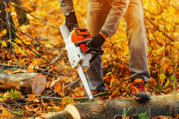 Close up of a lumberjack cutting old wood with a chainsaw - Photo, Image