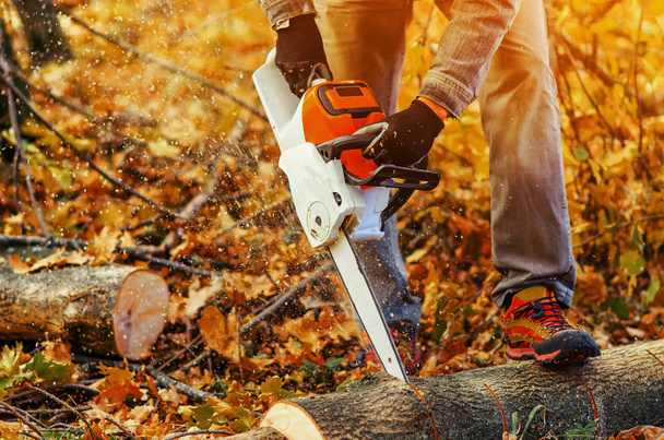 Close up of a lumberjack cutting old wood with a chainsaw - Photo, Image