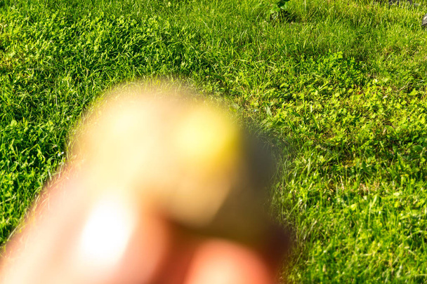 trozo de jengibre en la mano sobre el fondo, de cerca
 - Foto, imagen