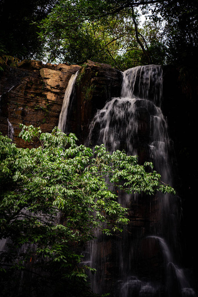 Wasserfall mit niedriger Geschwindigkeit und einem grünen Baum davor - Foto, Bild
