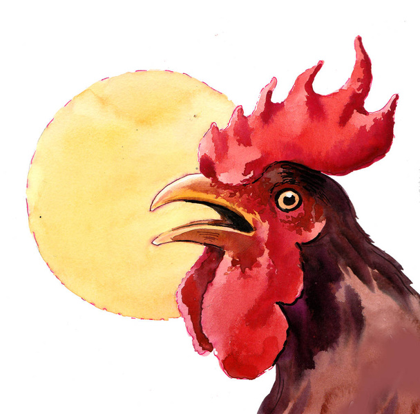 Rooster head and sun. Watercolor painting - Photo, Image