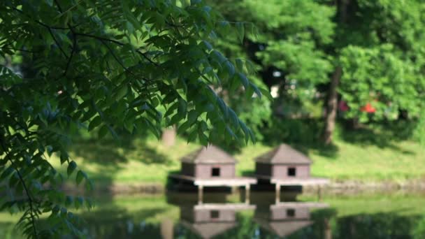 Baumzweige wiegen sich im Park vor dem Hintergrund zweier Holzhäuser für Enten. - Filmmaterial, Video