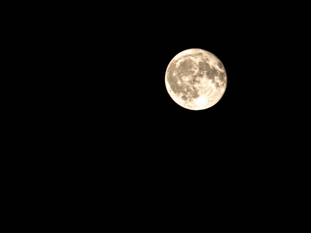 A (Casi) Luna Llena en un Cielo Negro
 - Foto, Imagen