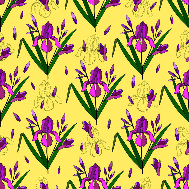 Naadloos patroon van irisbloemen met knoppen en bladeren. vectorillustratie. handtekening - Vector, afbeelding
