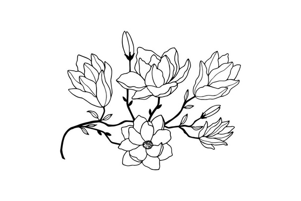 Magnoliové květy, poupata, listy na větvi. vektorová ilustrace. ruční kresba - Vektor, obrázek