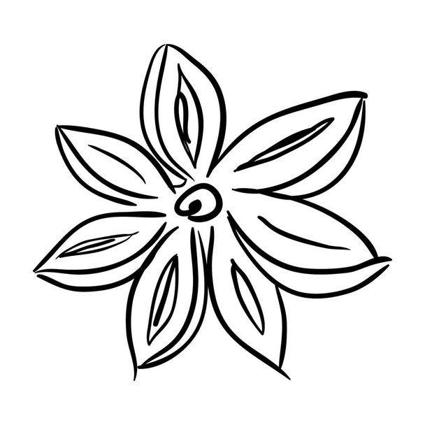 Strong aromatic spice, doodle icon of star anise vector design  - Vektör, Görsel