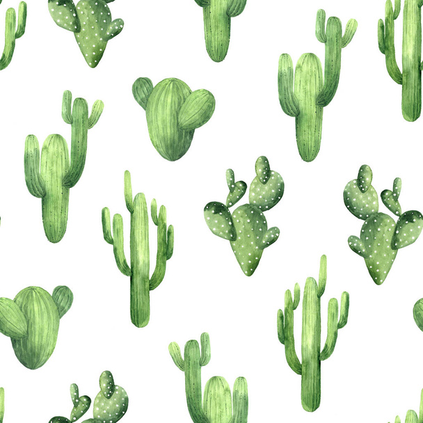 Seamless pattern wit watercolor exotic cactus - Fotoğraf, Görsel