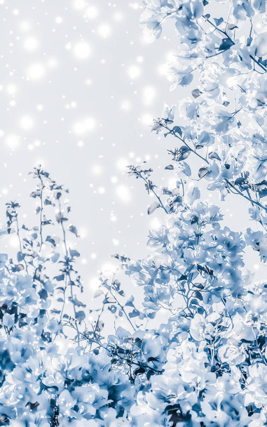 Boże Narodzenie, Nowy Rok niebieski kwiatowy charakter tła, karta wakacje - Zdjęcie, obraz