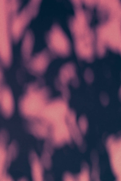 Абстрактне мистецтво, ботанічні тіні накладені на рожевий фон для h
 - Фото, зображення