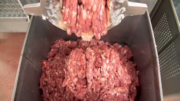 A húsfeldolgozó üzem darálója darálja a húst - Felvétel, videó