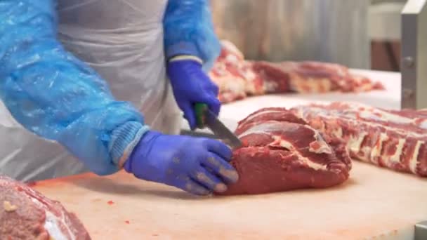 Χασάπης κοπής βοείου κρέατος από τον ιμάντα μεταφοράς - Πλάνα, βίντεο