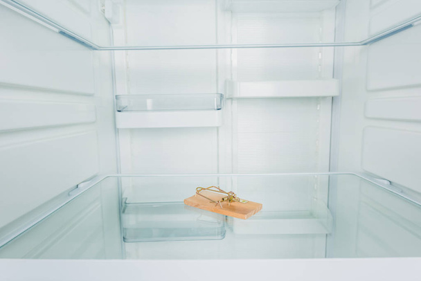 Ξύλινη ποντικοπαγίδα στο ράφι με άδειο ψυγείο - Φωτογραφία, εικόνα