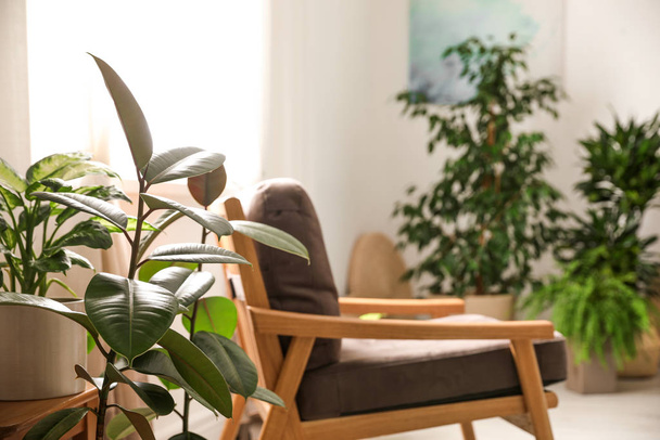Green plants in stylish room. Home design ideas - Φωτογραφία, εικόνα