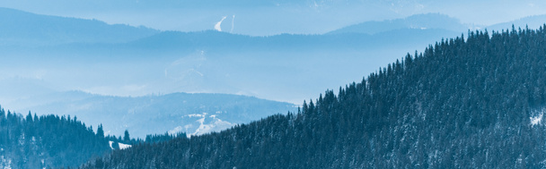malerischer Blick auf schneebedeckte Berge mit Kiefern und weißen, flauschigen Wolken, Panoramaaufnahme - Foto, Bild