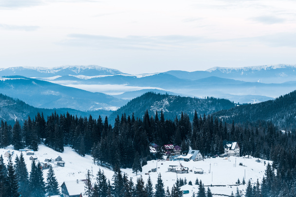 scenic view of snowy mountains with pine trees and small village - Fotografie, Obrázek