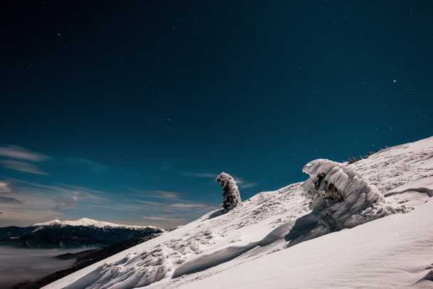 vista panorâmica da montanha nevada com pinheiros e nuvens brancas fofas no céu escuro à noite
 - Foto, Imagem