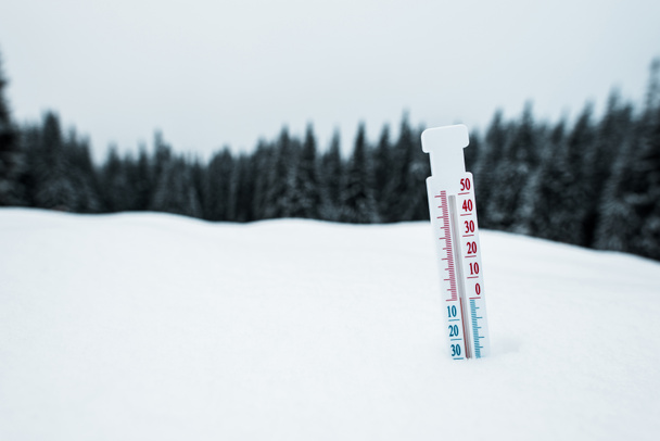 hőmérő a hegyek borított hó fenyőfák - Fotó, kép