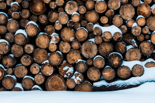 pila de troncos de madera cubiertos de nieve pura
 - Foto, Imagen