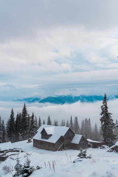 malerischer Blick auf das verschneite Bergdorf mit Pinien und Holzhäusern - Foto, Bild