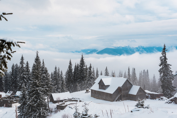 malowniczy widok na zaśnieżone góry z sosnami i białymi puszystymi chmurami - Zdjęcie, obraz