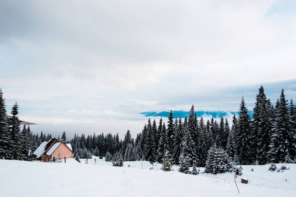 Karlı dağlardaki ahşap evin manzarası. Çam ağaçları ve beyaz tüylü bulutlar. - Fotoğraf, Görsel