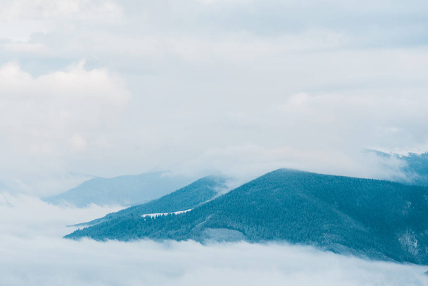 мальовничий вид на засніжені гори з сосновими деревами в білих пухнастих хмарах
 - Фото, зображення