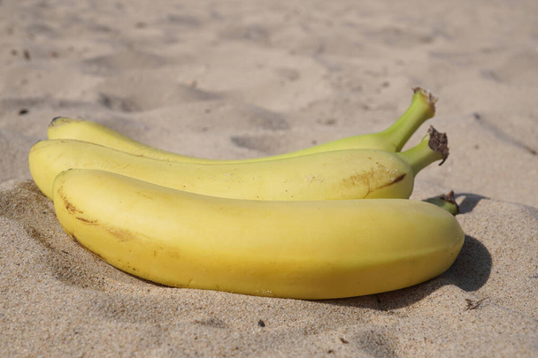 Un ramo de los tres plátanos en la arena
 - Foto, Imagen