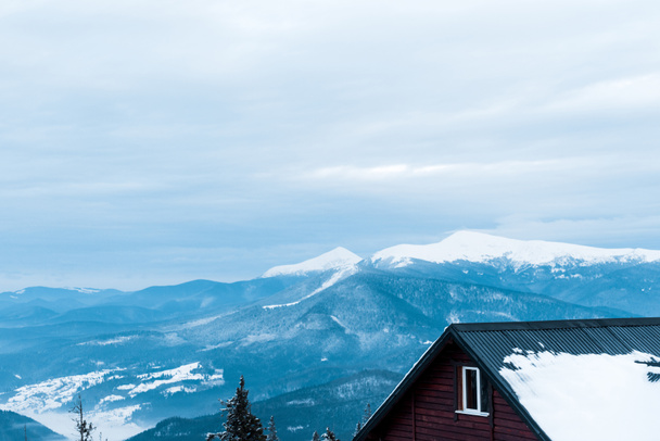 scenic view of snowy mountains with pine trees and wooden house - Photo, Image