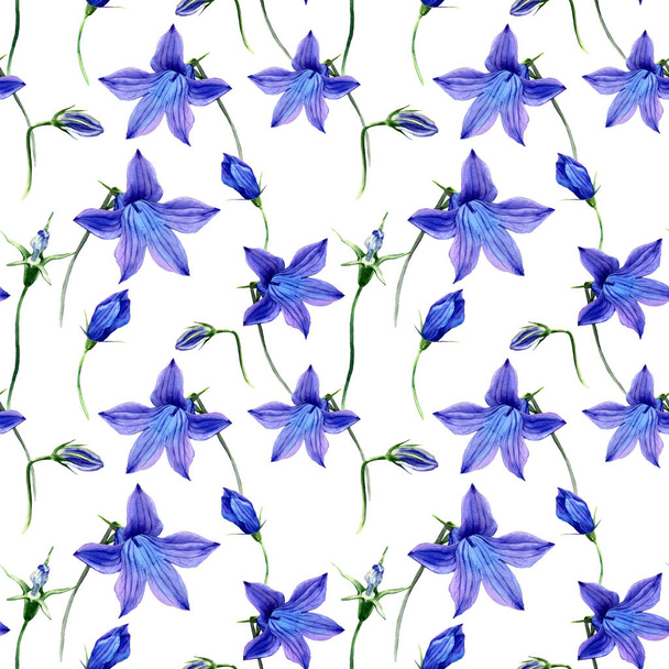 Watercolor seamless pattern of flowers field bell. - Photo, Image