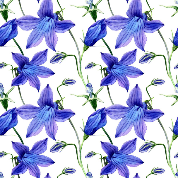 Watercolor seamless pattern of flowers field bell. - Photo, Image