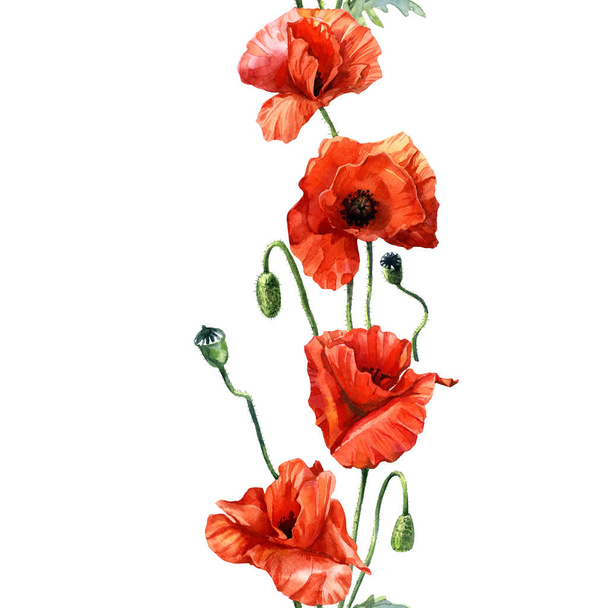 Watercolor seamless pattern of poppies, Botanical illustration. - Фото, зображення