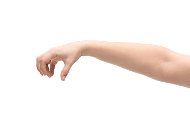 cropped view of woman showing hold gesture isolated on white - Φωτογραφία, εικόνα