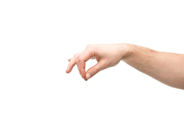 cropped view of man showing hold gesture isolated on white - Photo, Image