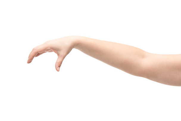 bijgesneden beeld van vrouw met hold gebaar geïsoleerd op wit - Foto, afbeelding