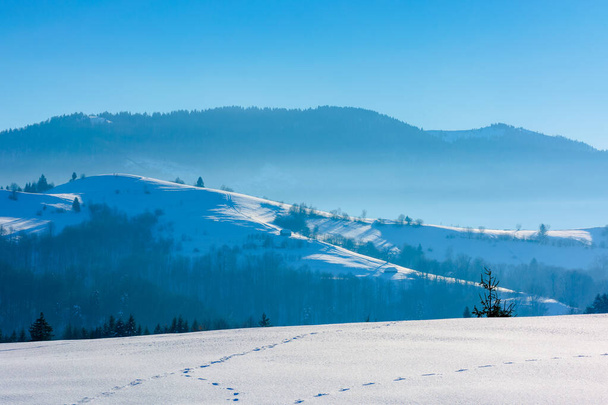 mountainous countryside in wintertime - Zdjęcie, obraz