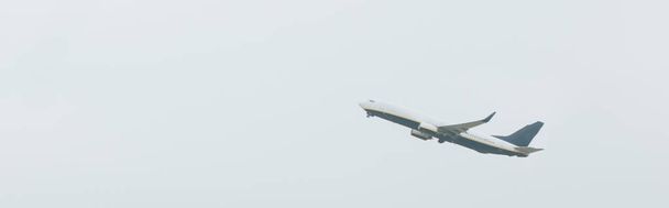Panoramic shot of commercial jet in cloudy sky - Foto, immagini