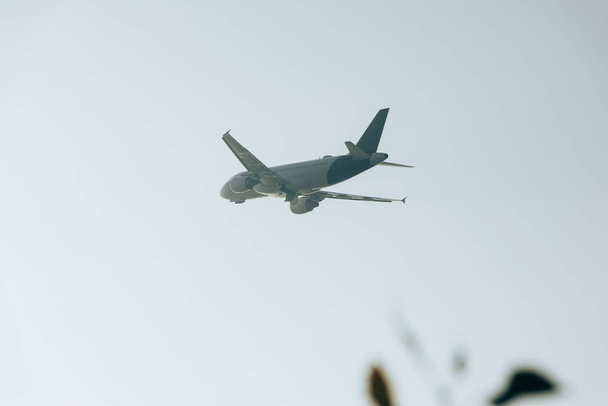 Low angle view of aeroplane in clear sky - Фото, зображення